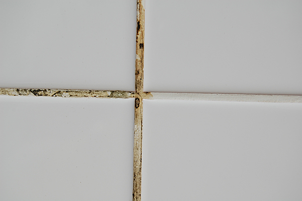 Đã có giải pháp cho đường ron tránh khỏi các hiện tượng ố vối hóa