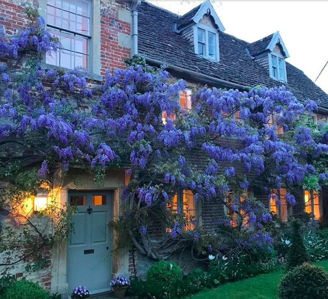 Những ngôi nhà có mặt tiền đẹp hút mắt nhờ trồng cây xanh