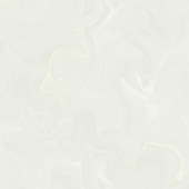 14.500500.07996