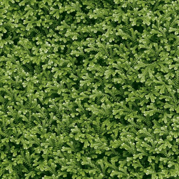 GẠCH GRANITE 4040THESEA001