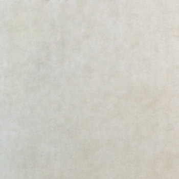 Gạch lát Granite Bạch Mã 60x60 MSV6008