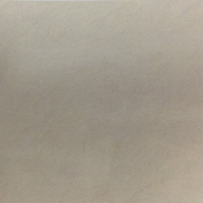 Gạch Taicera 60x60 P87532N