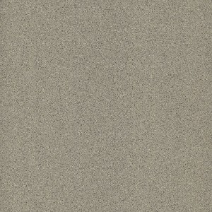 Gạch lát nền granite Trung Đô 500x500 MH5565