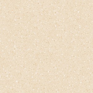 GẠCH LÁT GRANITE MUỐI TIÊU MM6648