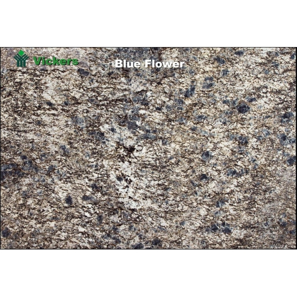 Đá Granit nhập khẩu BLUE FLOWER GR-14