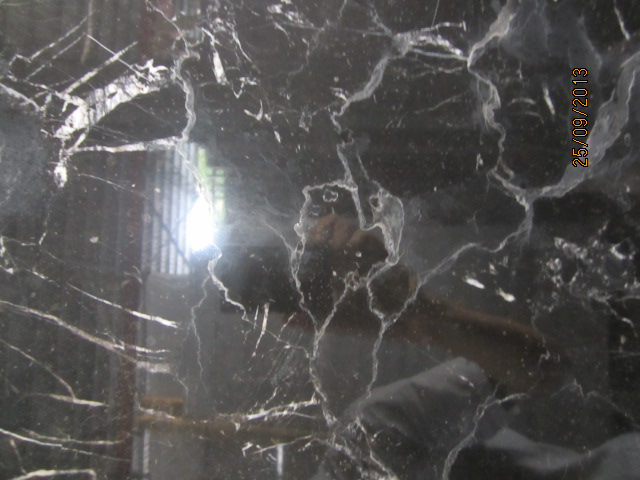 Đá Marble - Black Rose DS2-MB071