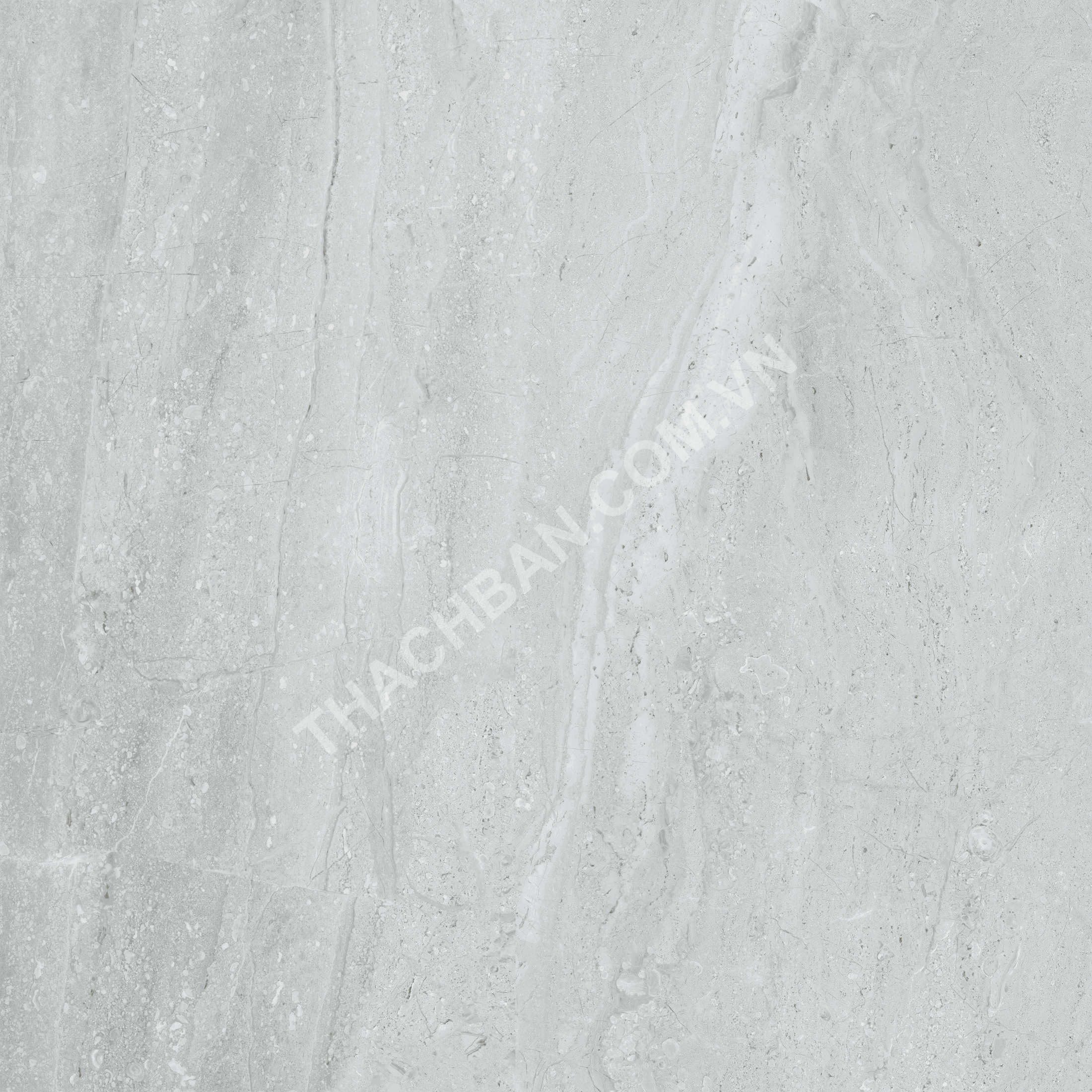 GẠCH GRANITE MEN KHÔ FOSILI FLM-A053