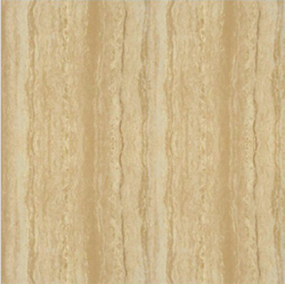 Gạch Taicera 60x60 P67216N