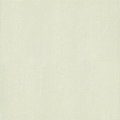 Gạch Taicera 60x60 P67763N1