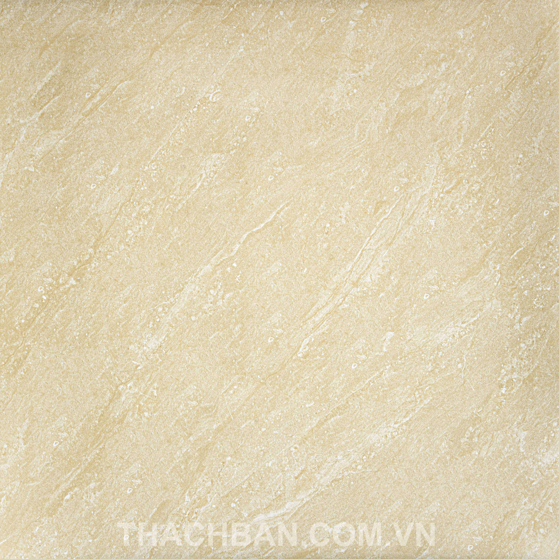 GẠCH GRANITE MEN KHÔ FOSILI FLM-A016